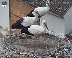 Capi_Dubne_20250725_144003.jpg