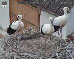Capi_Dubne_20250725_160502.jpg