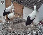 Capi_Dubne_20250725_165003.jpg