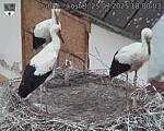 Capi_Dubne_20250725_180003.jpg
