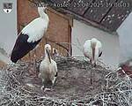 Capi_Dubne_20250725_190003.jpg