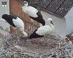 Capi_Dubne_20250725_193004.jpg