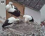 Capi_Dubne_20250725_195503.jpg