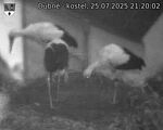 Capi_Dubne_20250725_212002.jpg