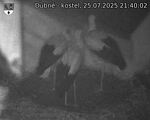 Capi_Dubne_20250725_214002.jpg