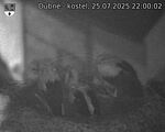 Capi_Dubne_20250725_220002.jpg