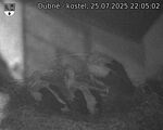 Capi_Dubne_20250725_220502.jpg