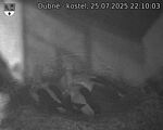 Capi_Dubne_20250725_221003.jpg