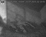 Capi_Dubne_20250725_221502.jpg