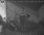 Capi_Dubne_20250725_223503.jpg