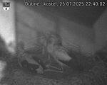 Capi_Dubne_20250725_224002.jpg