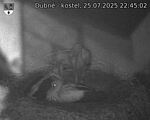 Capi_Dubne_20250725_224502.jpg