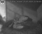 Capi_Dubne_20250725_225003.jpg