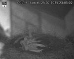 Capi_Dubne_20250725_230503.jpg