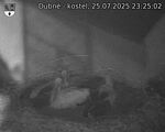 Capi_Dubne_20250725_232502.jpg