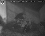 Capi_Dubne_20250725_233003.jpg