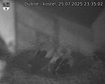 Capi_Dubne_20250725_233502.jpg