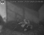 Capi_Dubne_20250725_235503.jpg