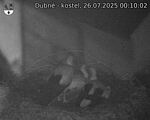 Capi_Dubne_20250726_001002.jpg