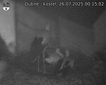 Capi_Dubne_20250726_001502.jpg