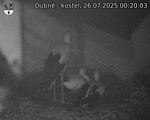 Capi_Dubne_20250726_002003.jpg