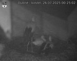 Capi_Dubne_20250726_002502.jpg