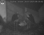 Capi_Dubne_20250726_003502.jpg