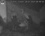 Capi_Dubne_20250726_004002.jpg