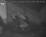 Capi_Dubne_20250726_005002.jpg