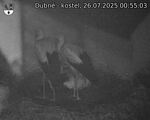 Capi_Dubne_20250726_005503.jpg