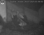 Capi_Dubne_20250726_010002.jpg