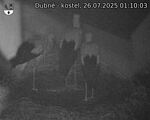 Capi_Dubne_20250726_011003.jpg
