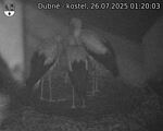 Capi_Dubne_20250726_012003.jpg