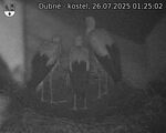 Capi_Dubne_20250726_012502.jpg