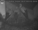 Capi_Dubne_20250726_013002.jpg