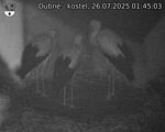 Capi_Dubne_20250726_014503.jpg