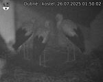 Capi_Dubne_20250726_015002.jpg