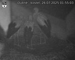 Capi_Dubne_20250726_015503.jpg