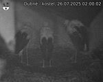 Capi_Dubne_20250726_020002.jpg