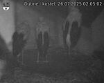Capi_Dubne_20250726_020502.jpg