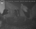 Capi_Dubne_20250726_022002.jpg