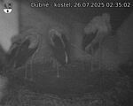 Capi_Dubne_20250726_023503.jpg