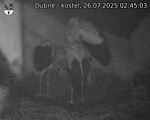 Capi_Dubne_20250726_024503.jpg