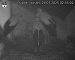 Capi_Dubne_20250726_025502.jpg