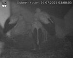 Capi_Dubne_20250726_030003.jpg