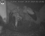 Capi_Dubne_20250726_031502.jpg