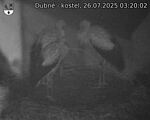 Capi_Dubne_20250726_032002.jpg