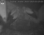 Capi_Dubne_20250726_032503.jpg
