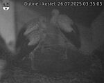Capi_Dubne_20250726_033503.jpg