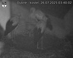Capi_Dubne_20250726_034002.jpg